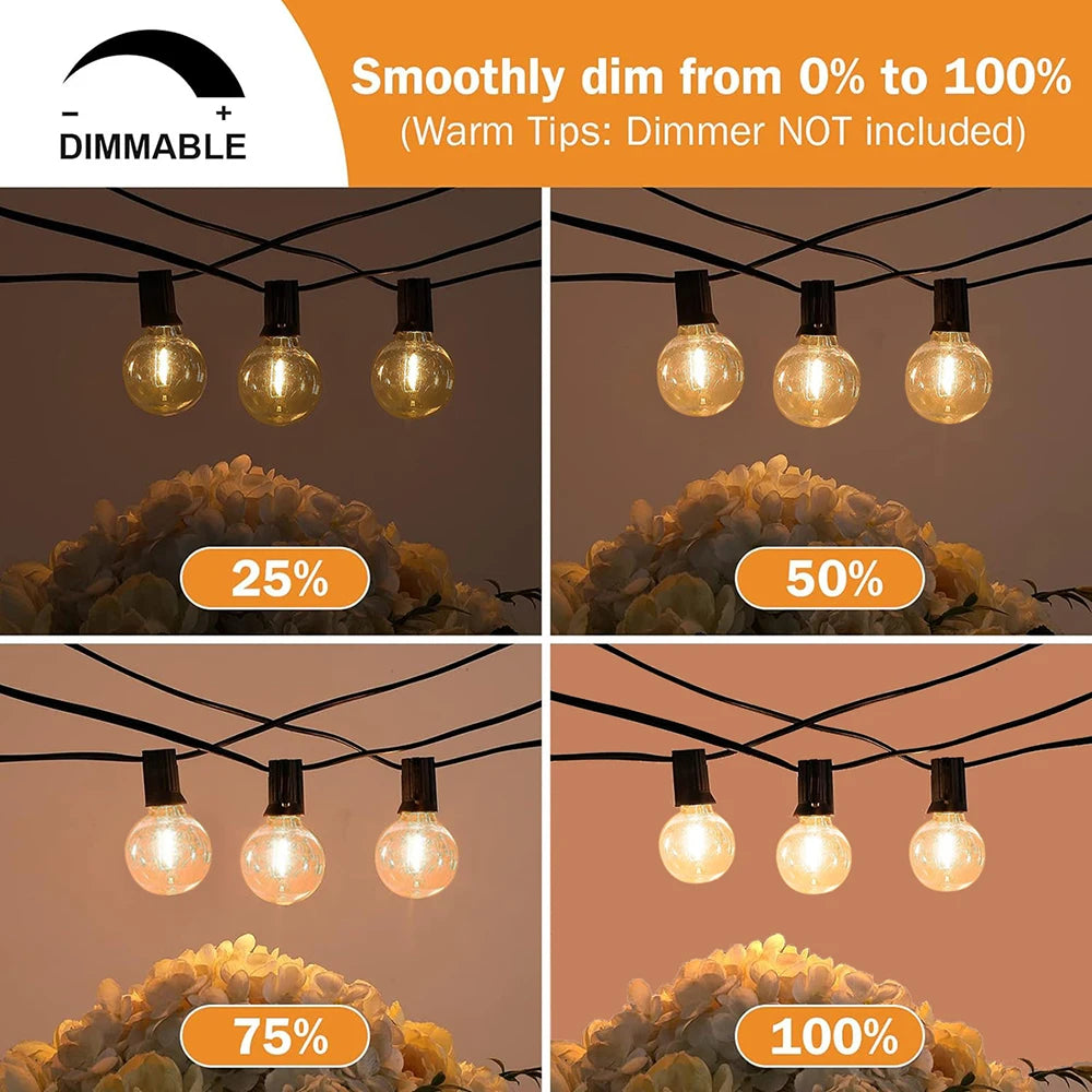 G40 LED Globe String Lights